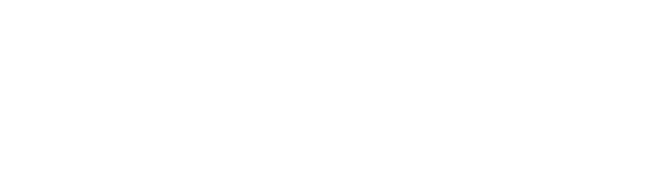 CyberGo LLC